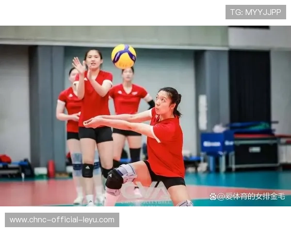 女排俱乐部引进高水平体能师团队 女排俱乐部引进高水平体能师团队